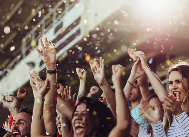 Stadium & Venue Security and Communication Systems